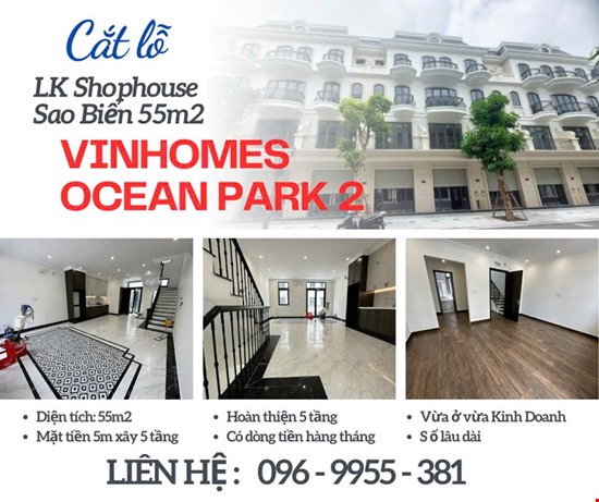 Siêu phẩm Shophouse Sao Biển giá cắt lỗ RẺ nhất Vinhomes Ocean Park 2