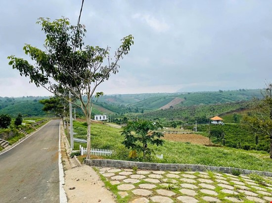 Cơ hội đầu tư sinh lời cao – dự án NaLi Chill - Homestay and BBQ vị trí vàng ngay tại Bảo Lộc