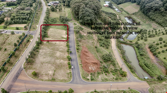 Tạo dựng tổ ấm nghỉ dưỡng trong mơ – Đất view đẹp 256.6 m², giá chỉ hơn 3 tỷ!