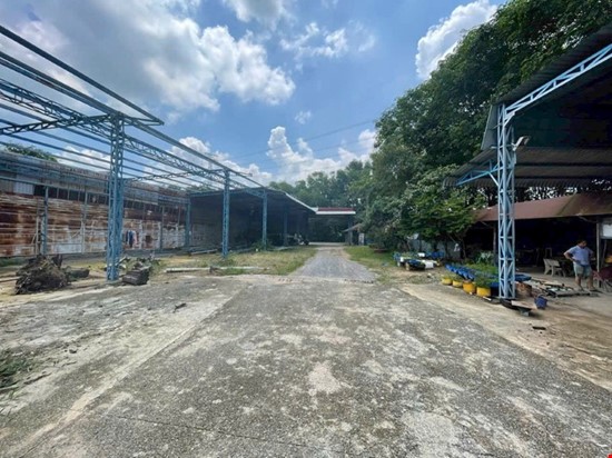 Chính chủ cần bán nhanh 3 lô đất liền kề tổng diện tích 3.119m² tại phường Phú An – TP Bến Cát.