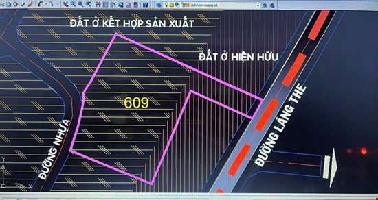 4200m2 đất 2 mặt tiền đường nhựa xã Tân Thạnh Tây, Củ Chi giá 19 tỷ