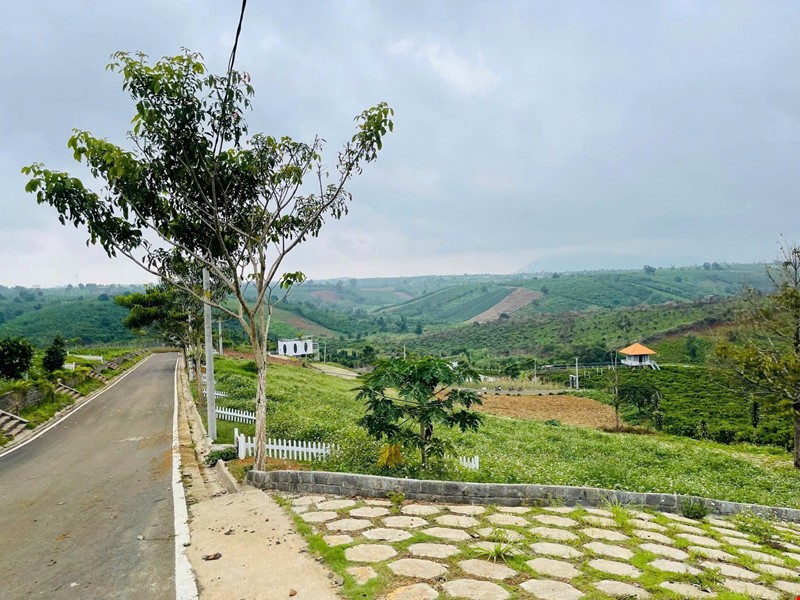 co-hoi-dau-tu-sinh-loi-cao-–-du-an-nali-chill--homestay-and-bbq-vi-tri-vang-ngay-tai-bao-loc-pr144259