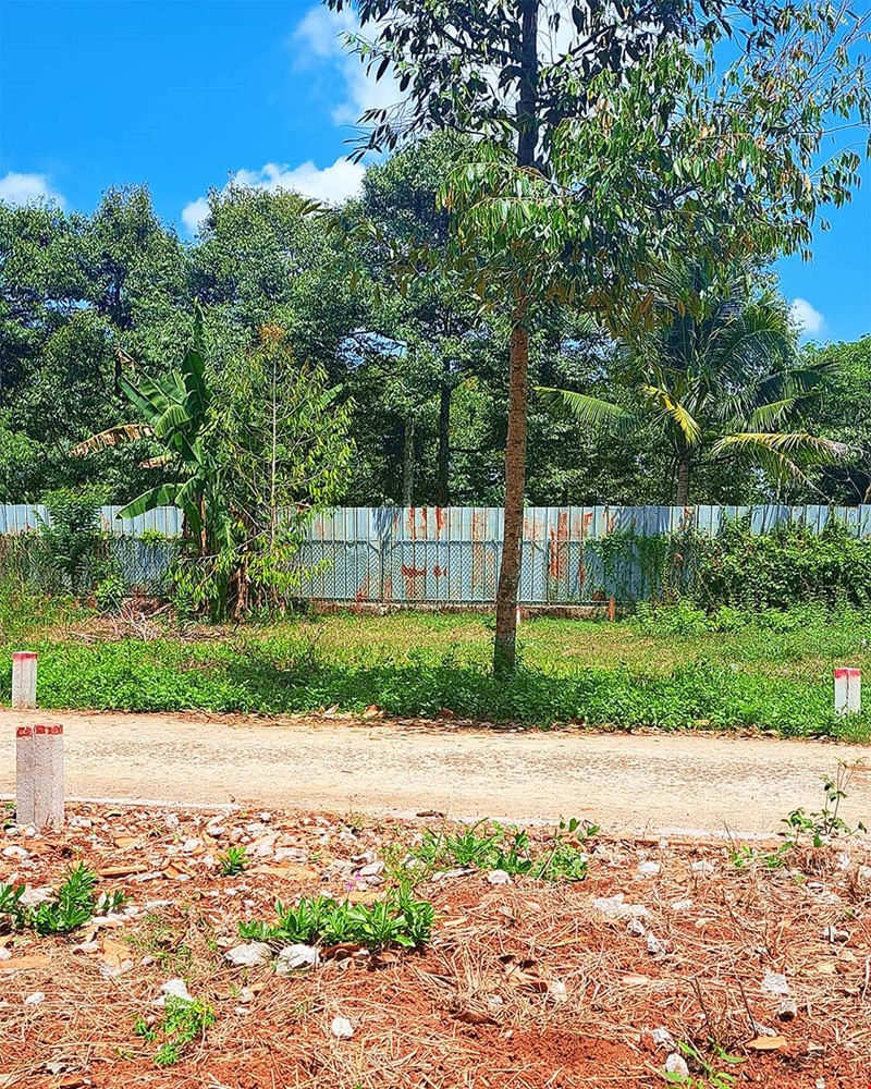ban-nen-tho-cu-so-rieng-kp-nong-doanh-p-hang-gon-cach-ql1a-1km-gia-chi-750tr-pr144413