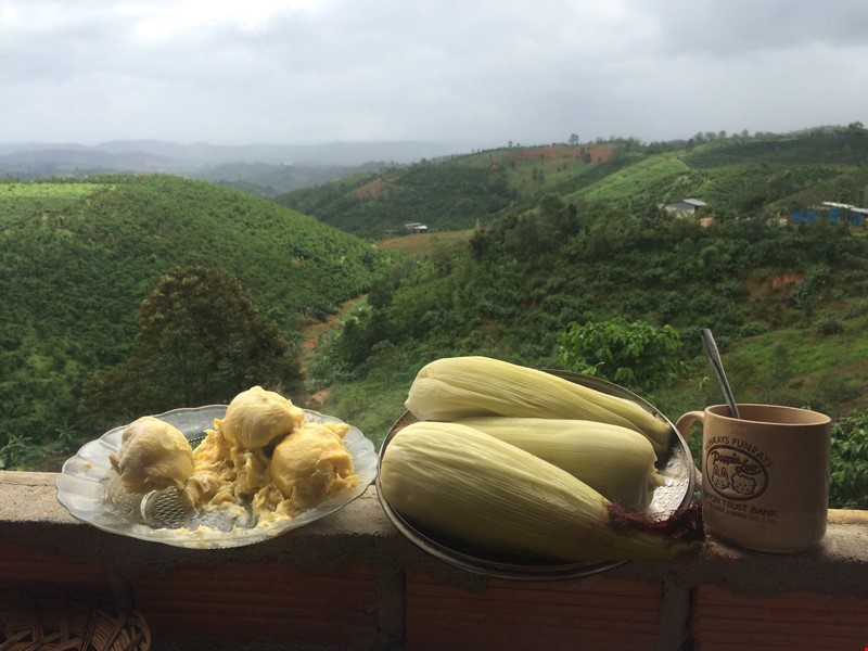 6-sao-dat-vuon-view-thung-lung-thon-10-xa-loc-nam--huyen-bao-lam--lam-dong-gia-145-ty-pr143395