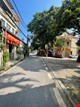 ban-dat-thuy-linh-50m-o-to-tai-tranh-kinh-doanh-hoang-mai-pr144139