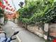 ban-dat-thuy-linh-115m-o-to-tranh-vao-dat-hoang-mai-pr144094
