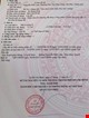 90m2-mt-hem-xe-tai-thong-7m-nguyen-nhu-lam-3-tang-btct-no-hau-pr143956
