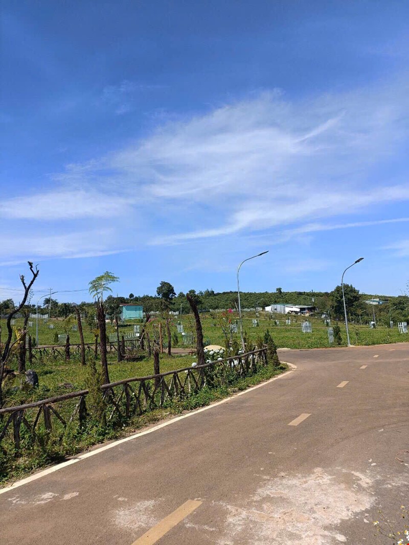 ban-dat-tho-cu-tai-xa-loc-thang-bao-lam-lam-dong-pr143090
