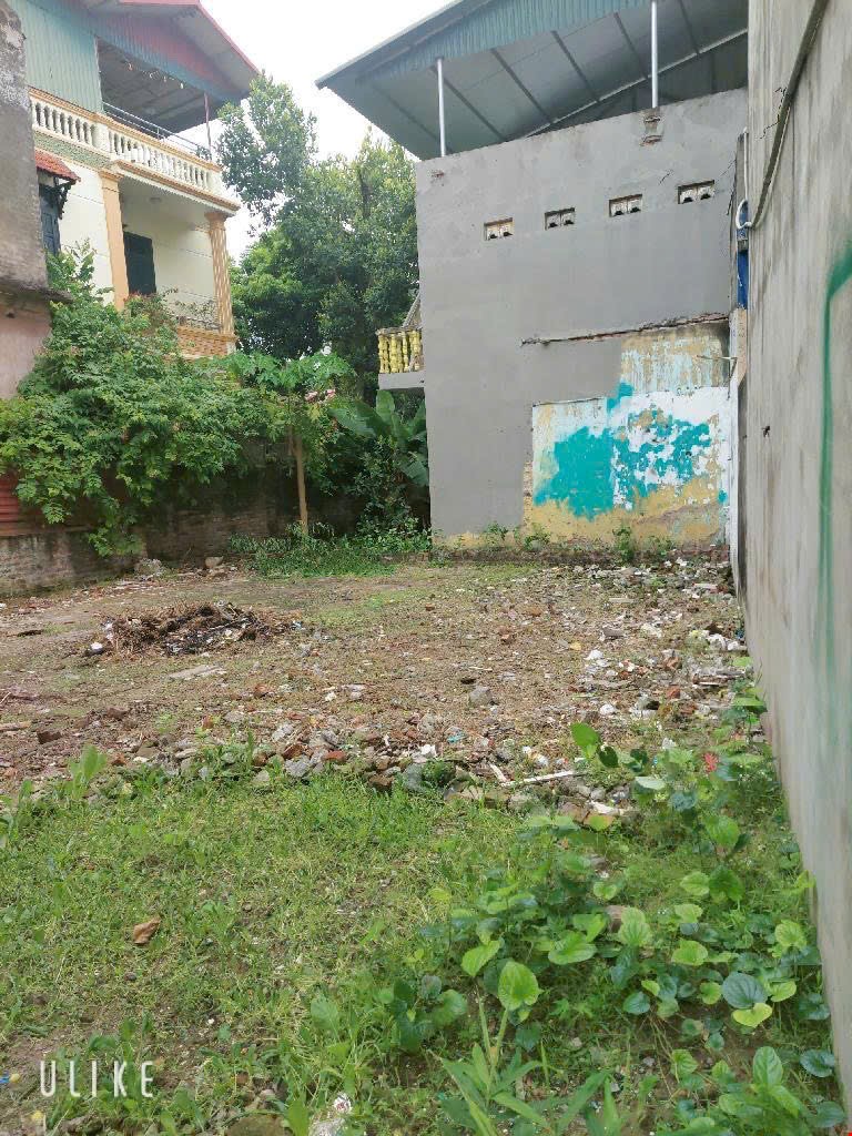 ban-gap-100m2-dat-53-ty-tai-kim-chung-dong-anh-ngo-rieng-gan-ho-pr143262