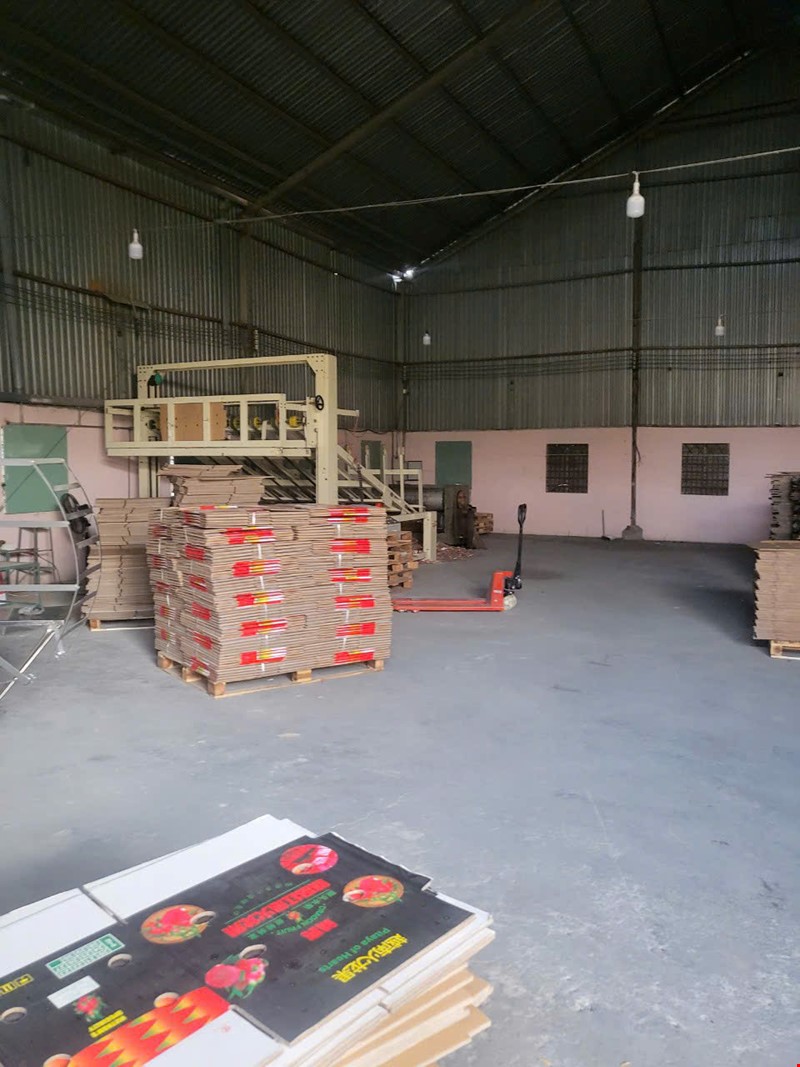 xuong-mat-tien-nguyen-thi-xanh-xa-phuoc-vinh-an-cu-chi-dt-1022m2-gia-155-ty-pr143300