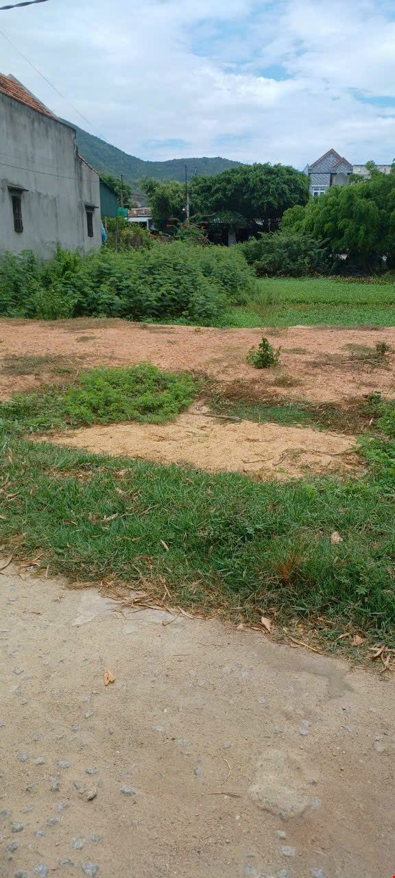 dat-gan-khu-trung-tam-the-thao-cat-hung-147m2-pr143389