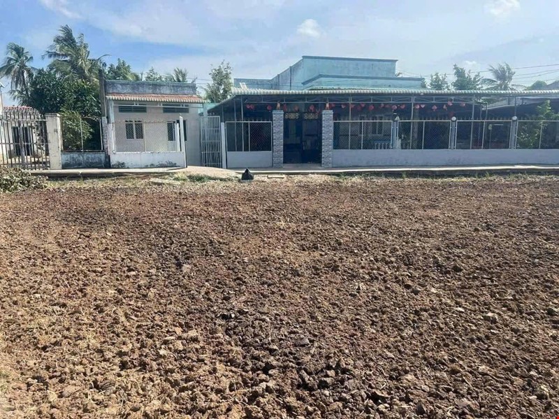 2500m2-dat-lua-xa-thuan-thanh-huyen-can-giuoc-gia-25-ty-pr143618