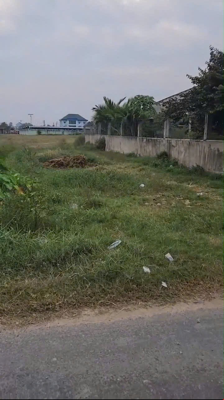 4500m2-dat-mat-tien-duong-nhua-xa-duc-lap-ha-duc-hoa-co-800m2-tho-gia-1299-ty-pr143622
