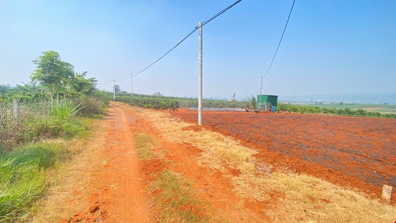 36-sao-hem-dh1-tan-hoi-duc-trong-cu-lam-dong-pr144444
